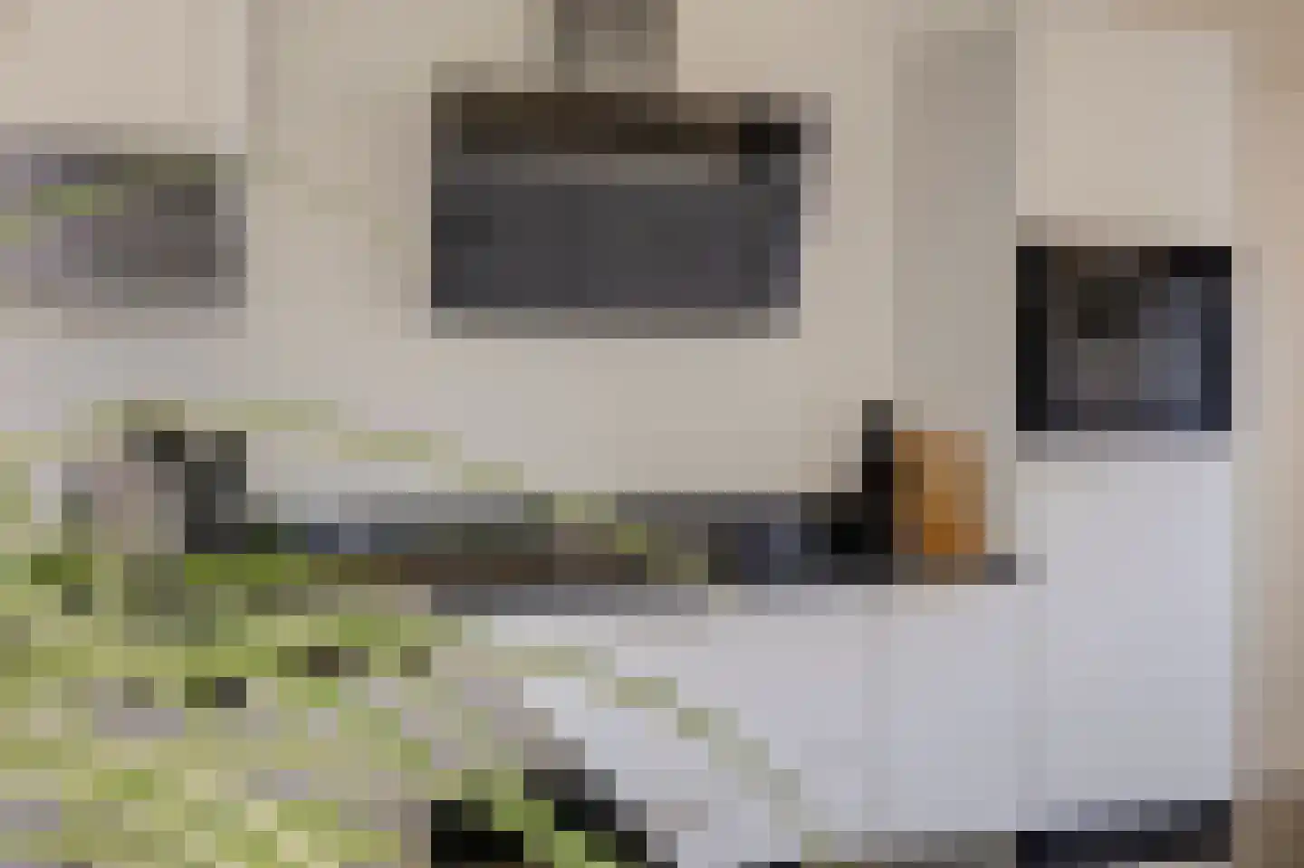 Rijsoort 2 Broek op Langedijk thumbnail 21