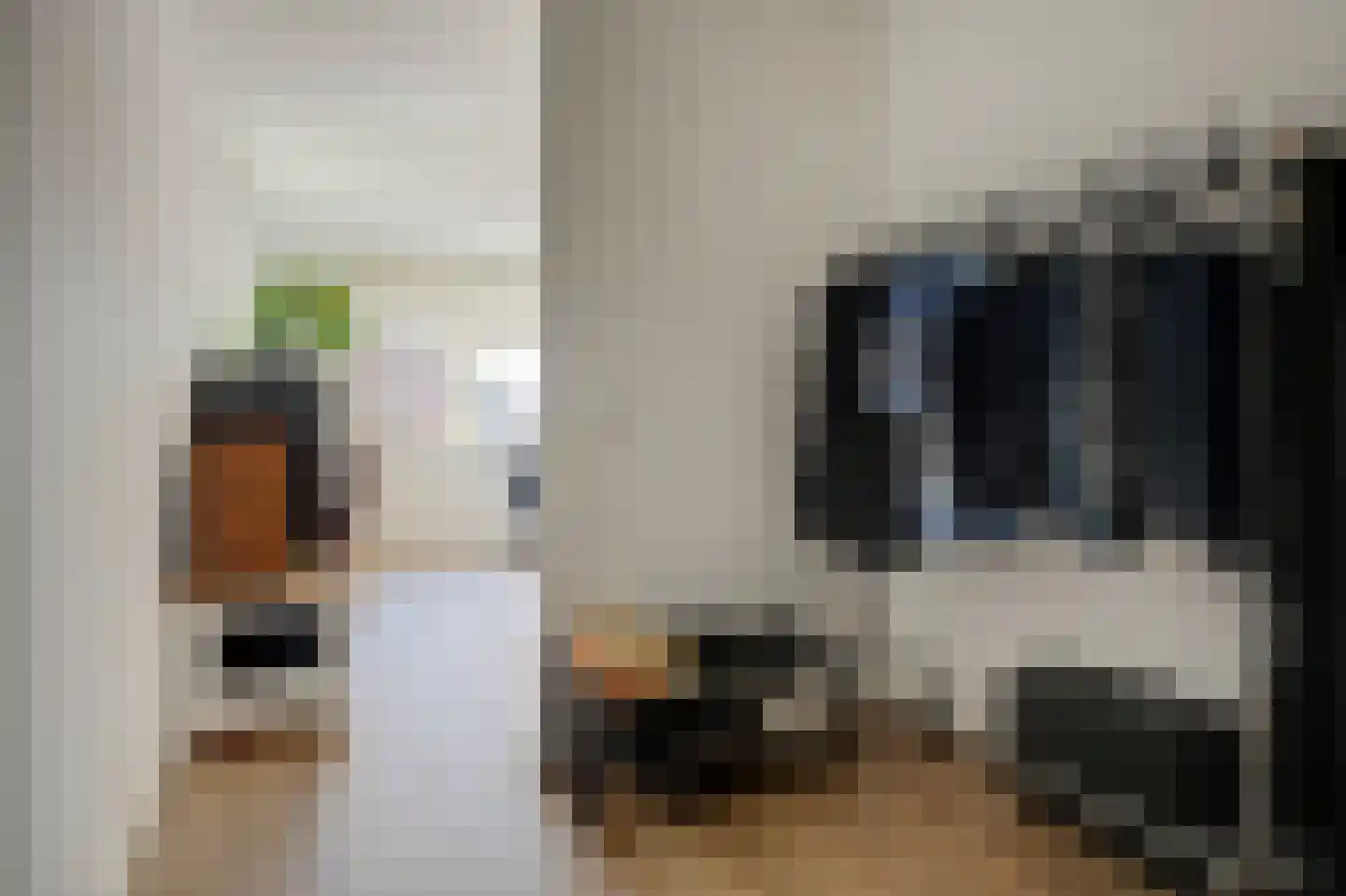 Rijsoort 2 Broek op Langedijk thumbnail 33