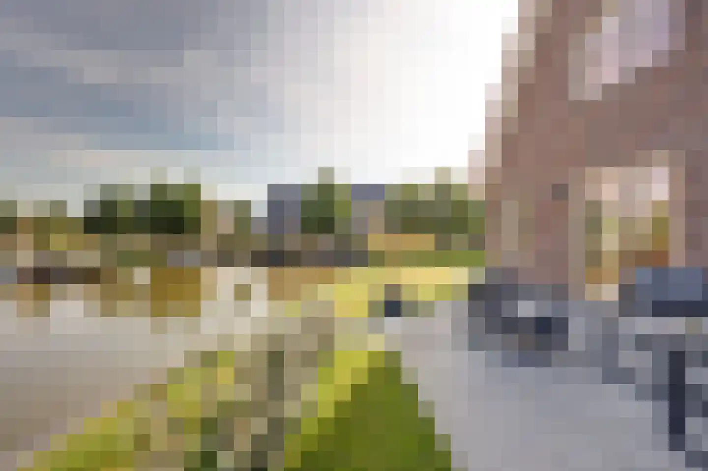 Rijsoort 2 Broek op Langedijk thumbnail 45
