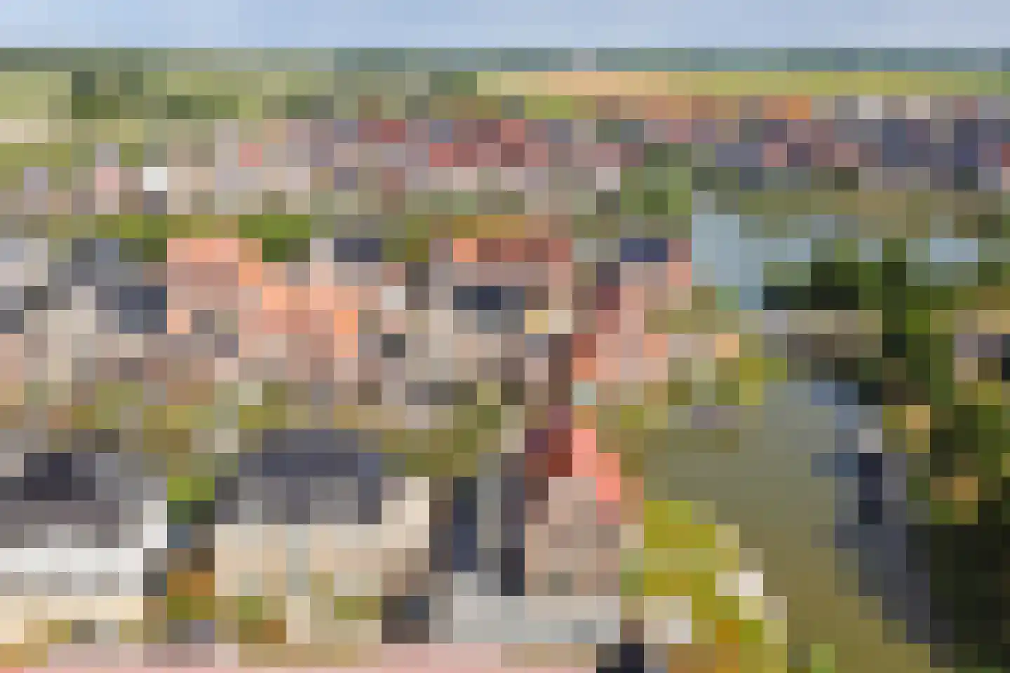 Rijsoort 2 Broek op Langedijk thumbnail 49