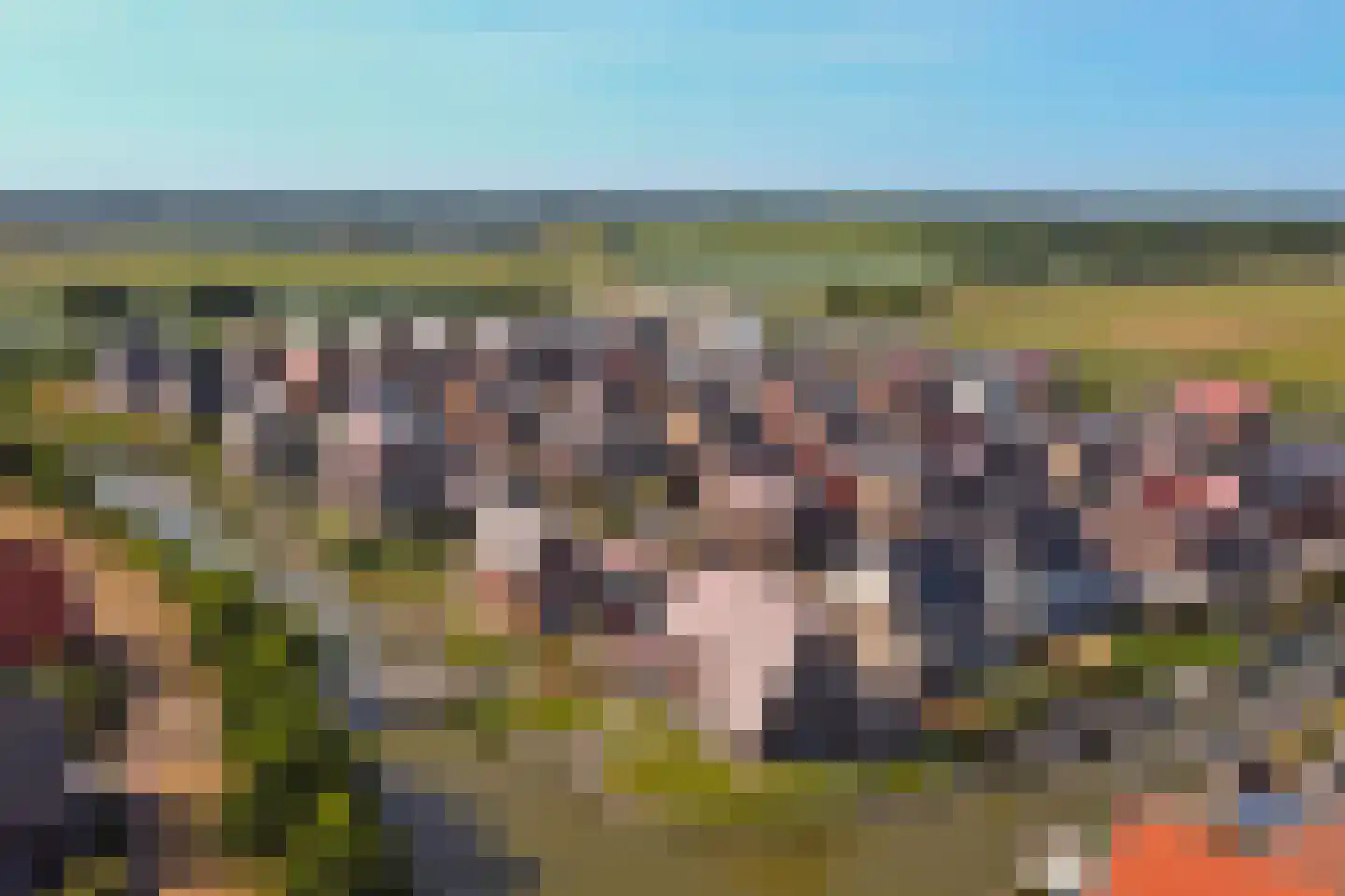 Rijsoort 2 Broek op Langedijk thumbnail 50