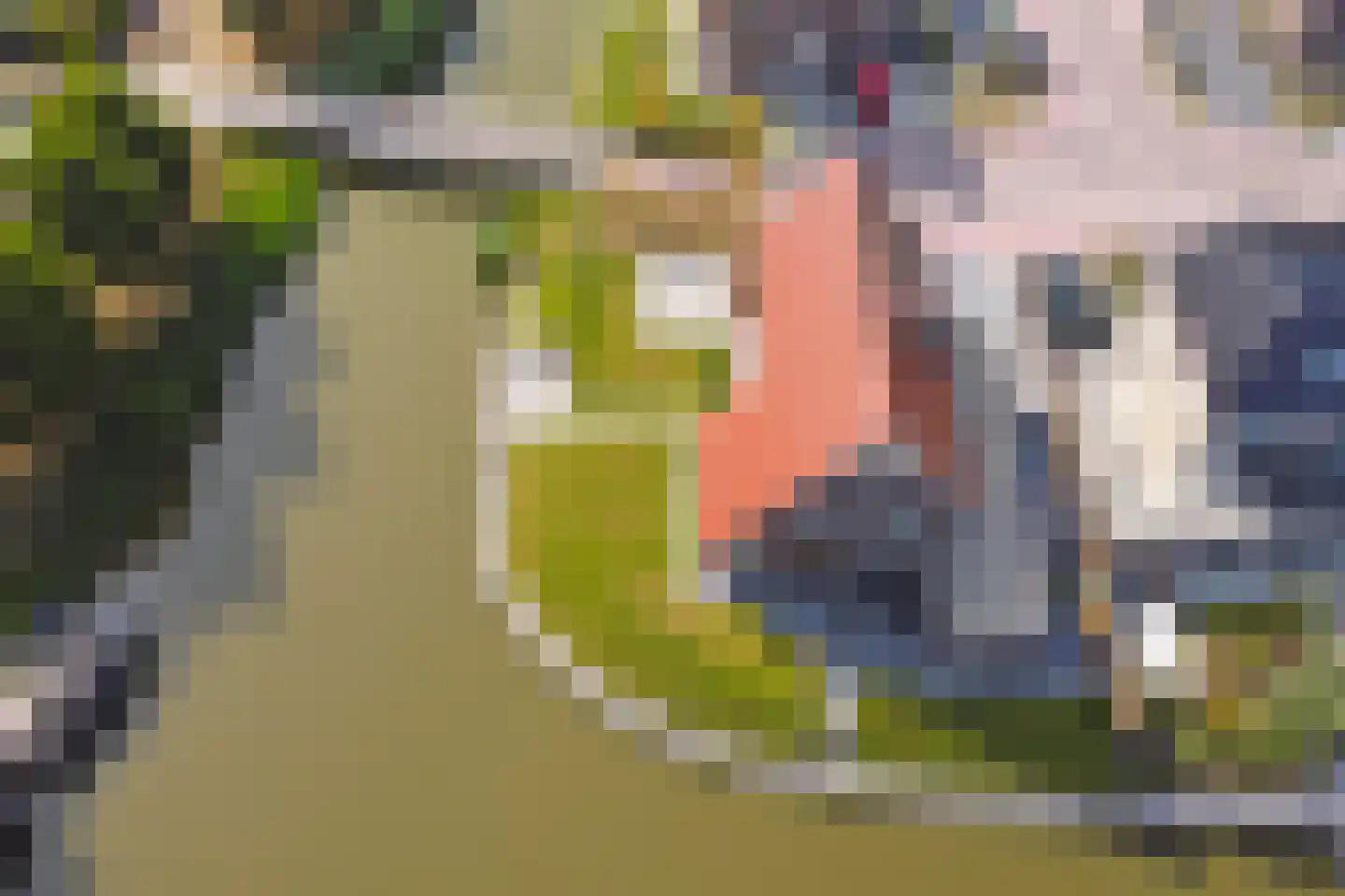 Rijsoort 2 Broek op Langedijk thumbnail 52