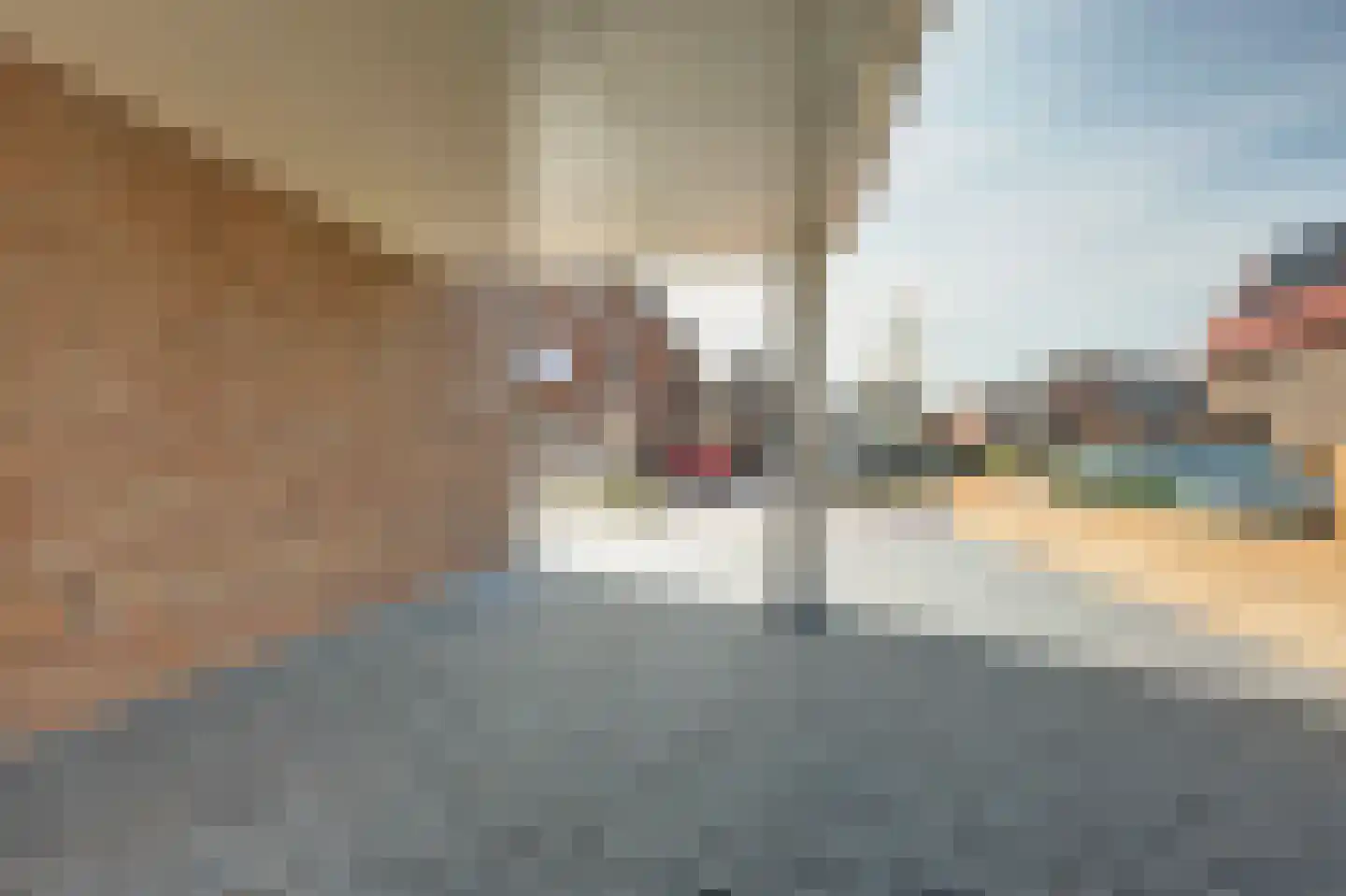 Rijsoort 2 Broek op Langedijk thumbnail 7