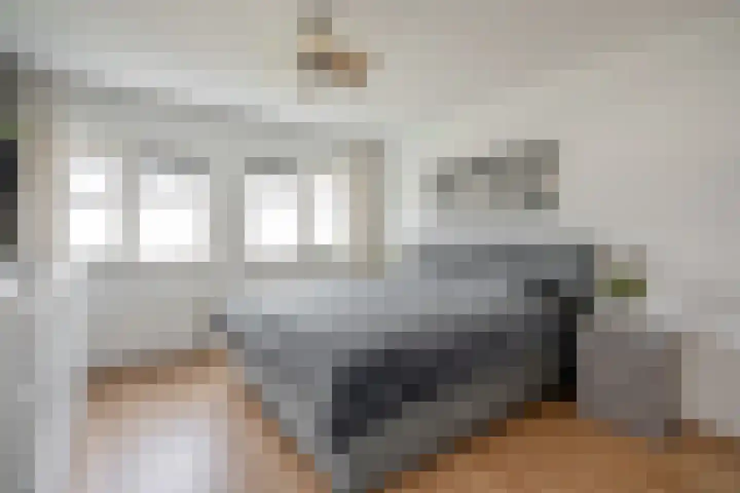 Rijsoortstraat 13 Zoetermeer thumbnail 20
