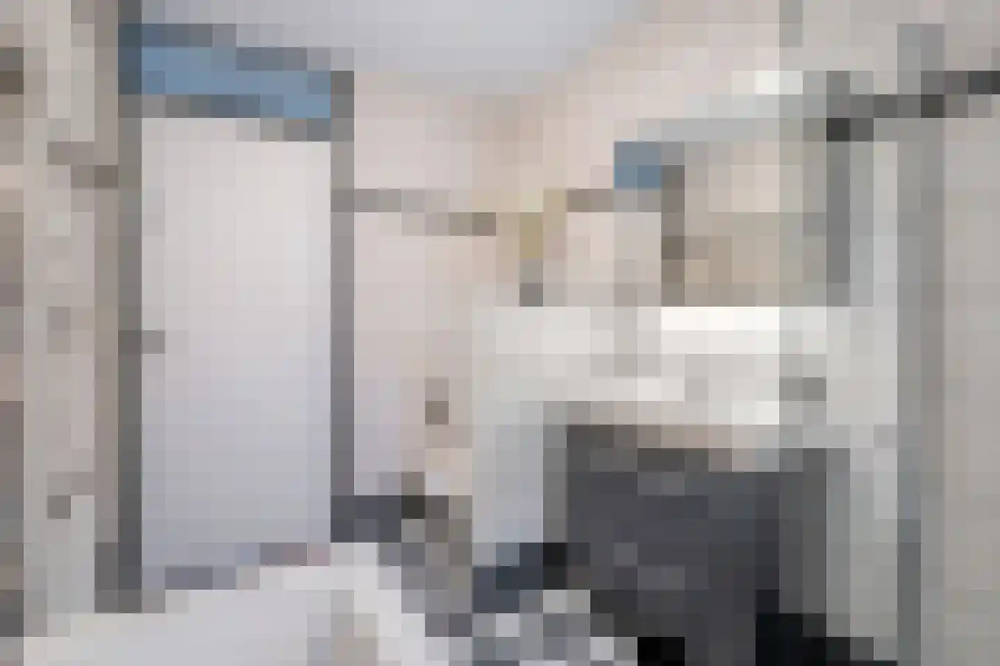 Rijsoortstraat 13 Zoetermeer thumbnail 24