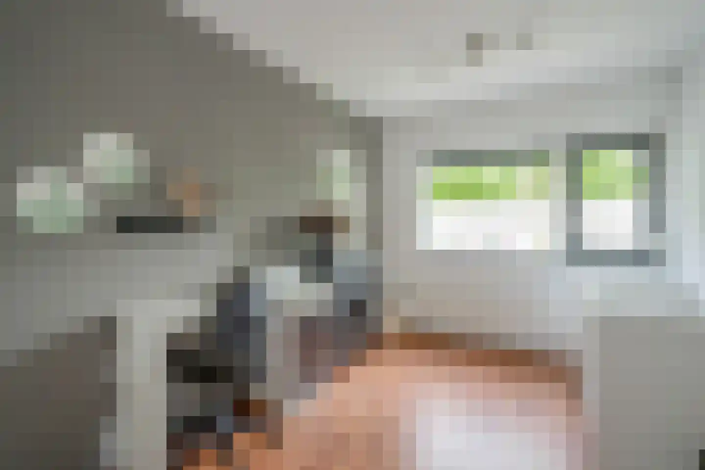Rijsoortstraat 13 Zoetermeer thumbnail 26