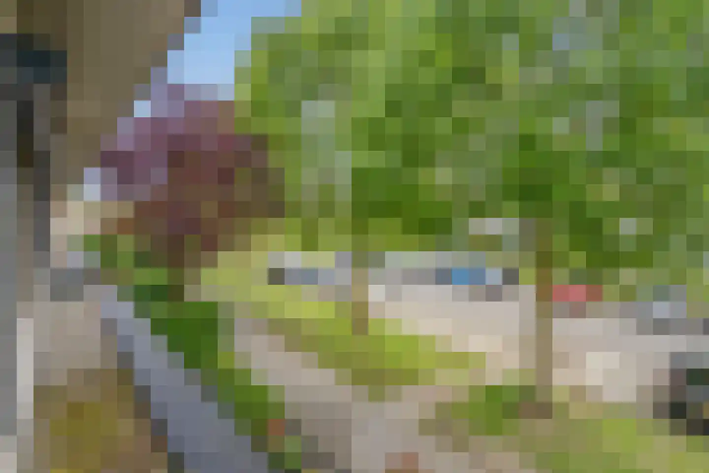 Rijsoortstraat 13 Zoetermeer thumbnail 29
