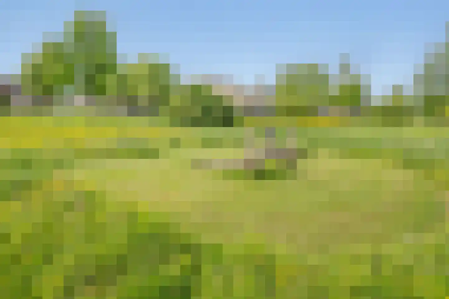 Rijsoortstraat 13 Zoetermeer thumbnail 33