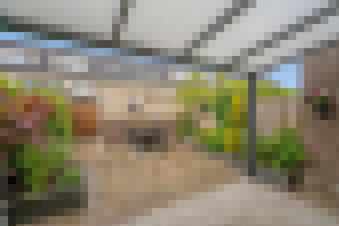 Rijsoortstraat 13 Zoetermeer thumbnail 4