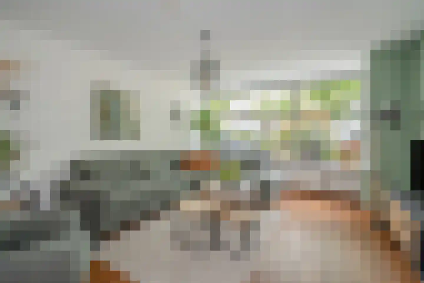 Rijsoortstraat 13 Zoetermeer thumbnail 7