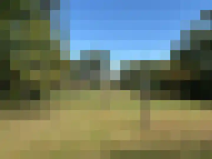 Rijspolder 116 Schiermonnikoog thumbnail 18