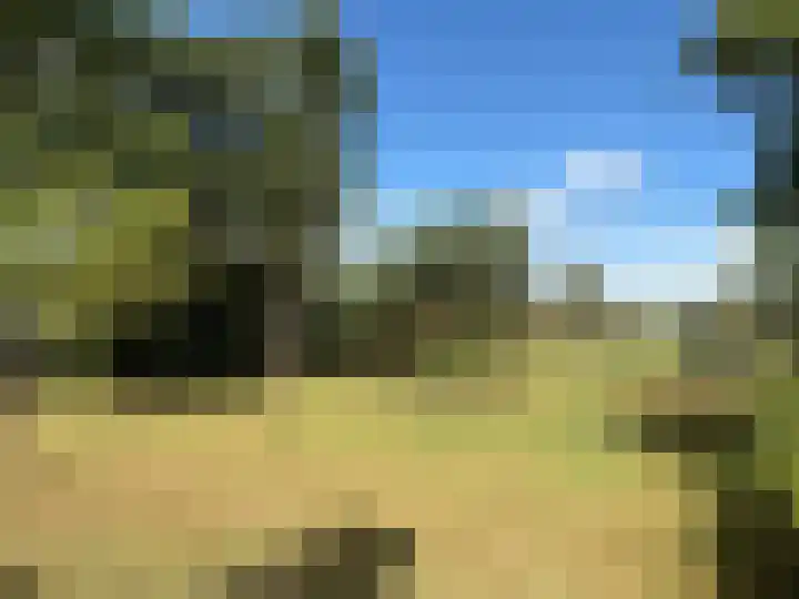 Rijspolder 116 Schiermonnikoog thumbnail 19