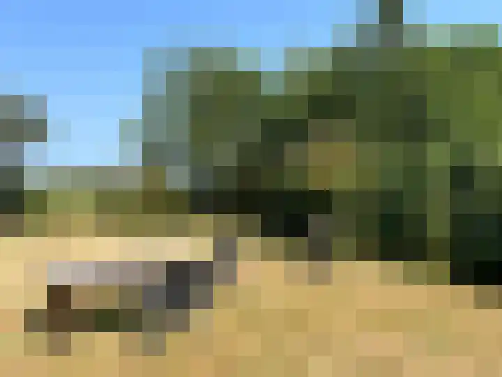Rijspolder 116 Schiermonnikoog thumbnail 21