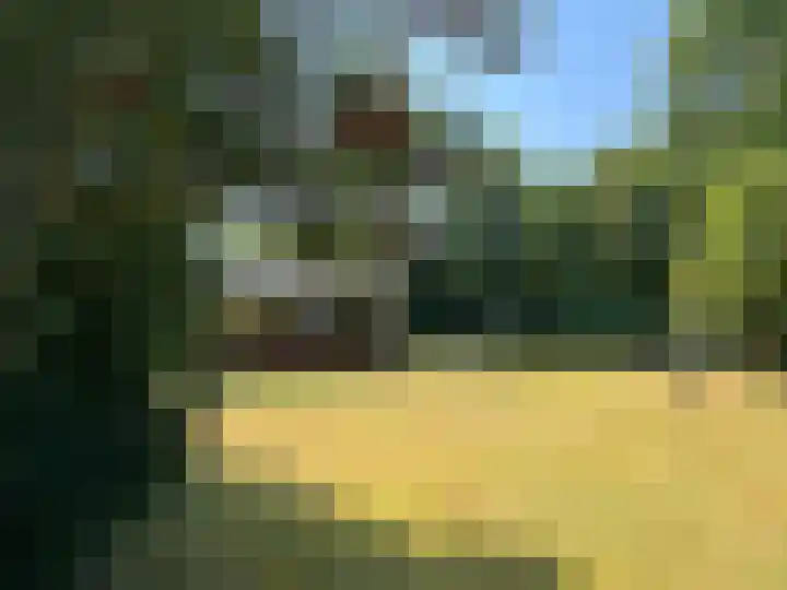 Rijspolder 116 Schiermonnikoog thumbnail 22