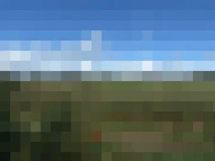 Rijspolder 116 Schiermonnikoog thumbnail 23