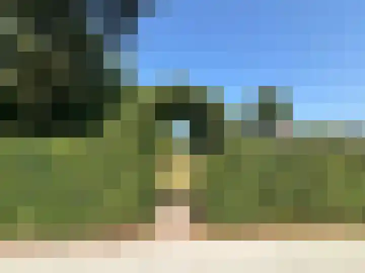 Rijspolder 116 Schiermonnikoog thumbnail 4