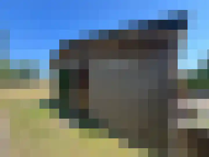 Rijspolder 116 Schiermonnikoog thumbnail 5