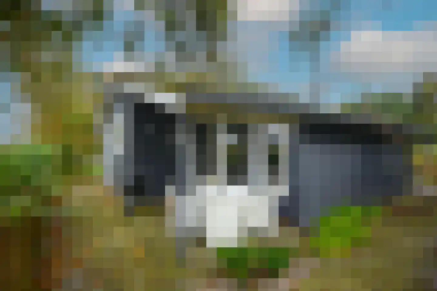 Rijspolder 2 C Schiermonnikoog thumbnail 18
