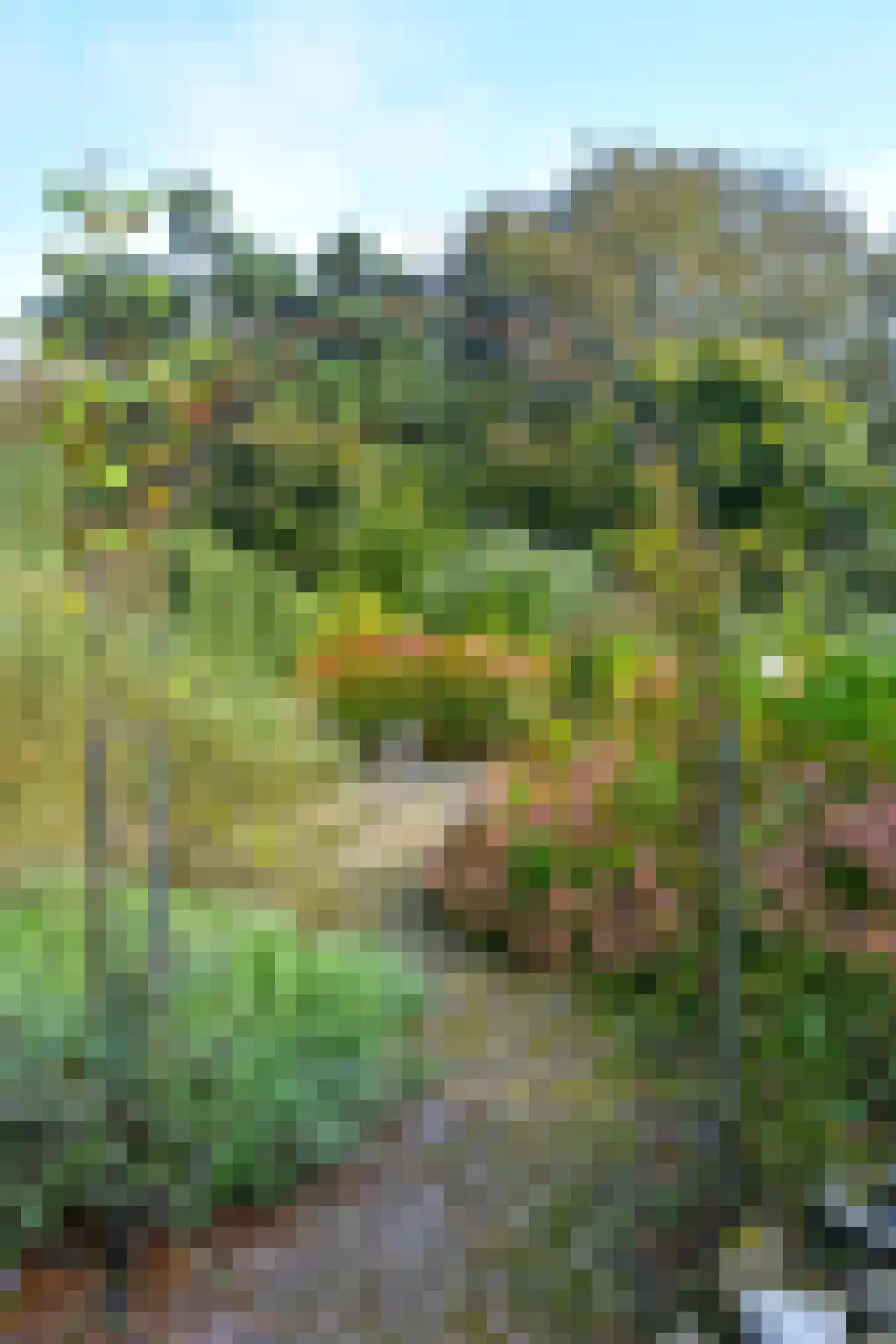 Rijspolder 2 C Schiermonnikoog thumbnail 19