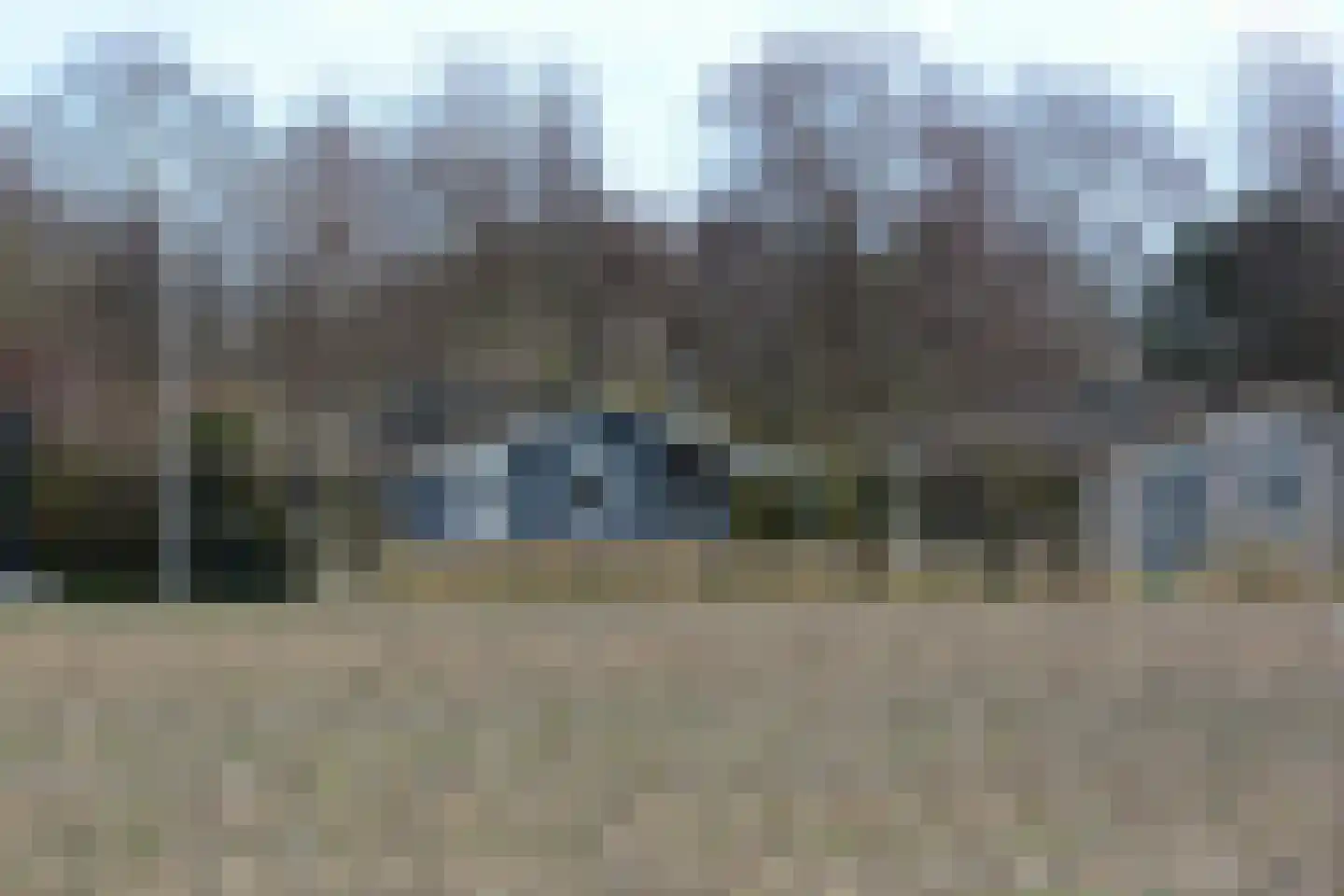 Rijspolder 2 C Schiermonnikoog thumbnail 20