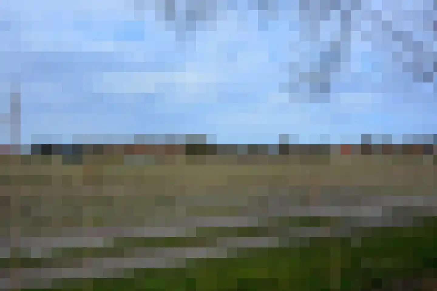 Rijspolder 2 C Schiermonnikoog thumbnail 21