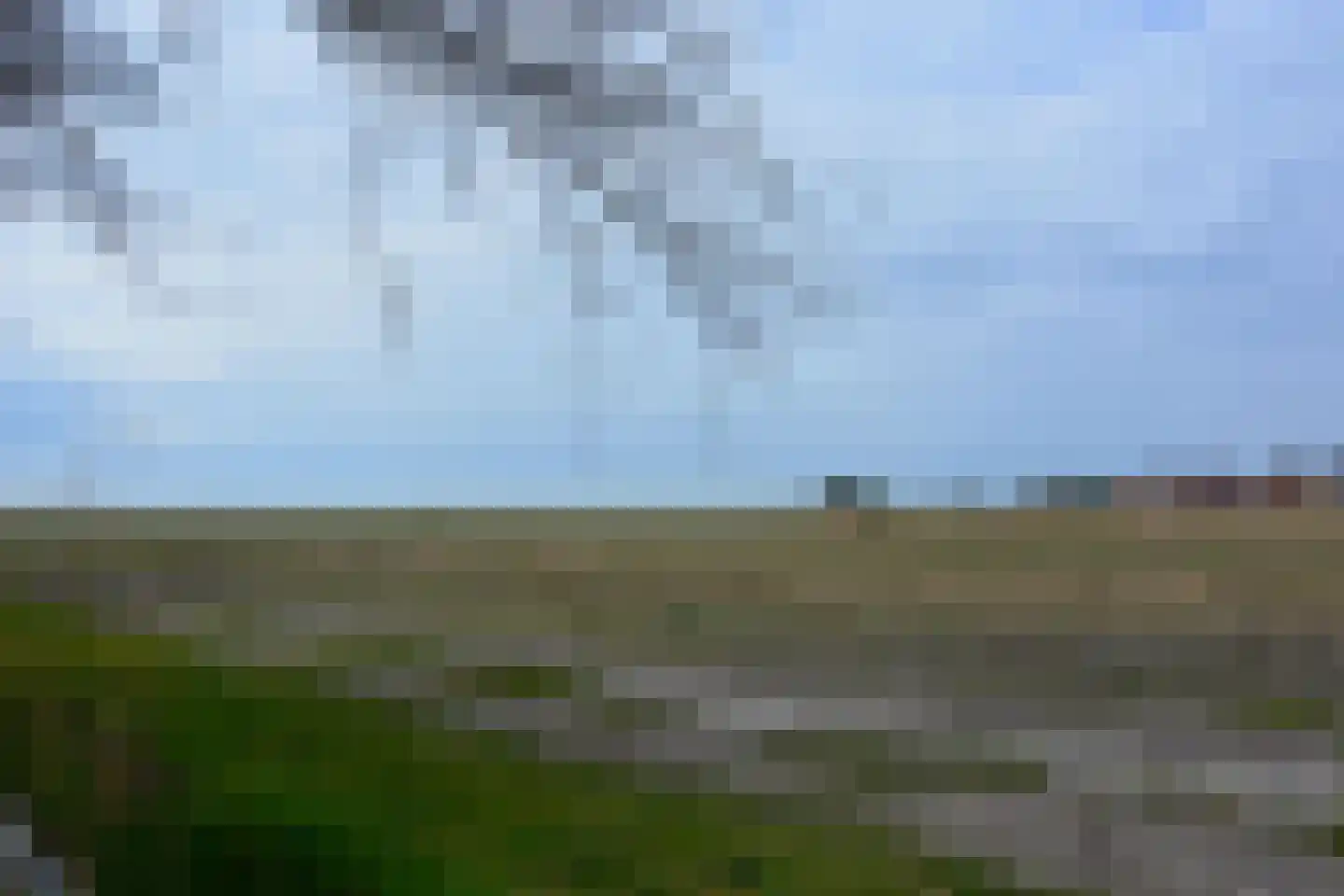 Rijspolder 2 C Schiermonnikoog thumbnail 22