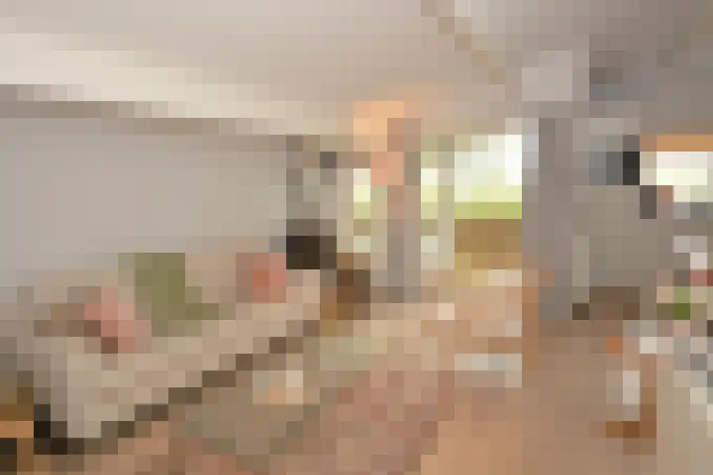 Rijspolder 2 C Schiermonnikoog thumbnail 5