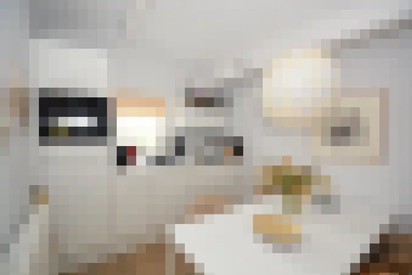 Rijspolder 2 C Schiermonnikoog thumbnail 8