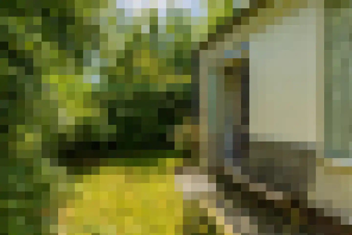Rijspolder 29 Schiermonnikoog thumbnail 24