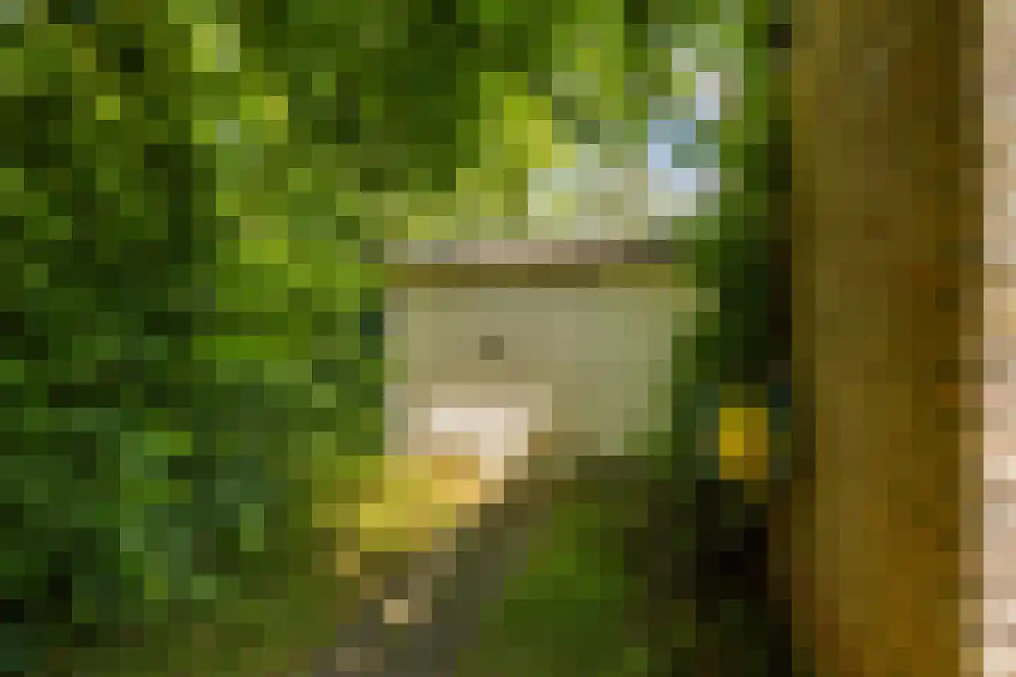 Rijspolder 29 Schiermonnikoog thumbnail 27