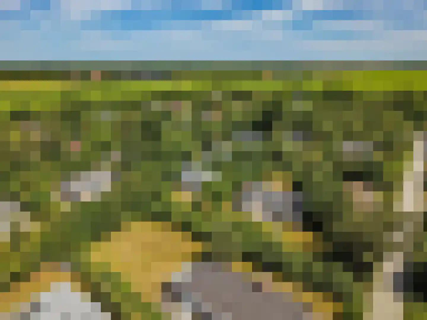 Rijspolder 29 Schiermonnikoog thumbnail 30