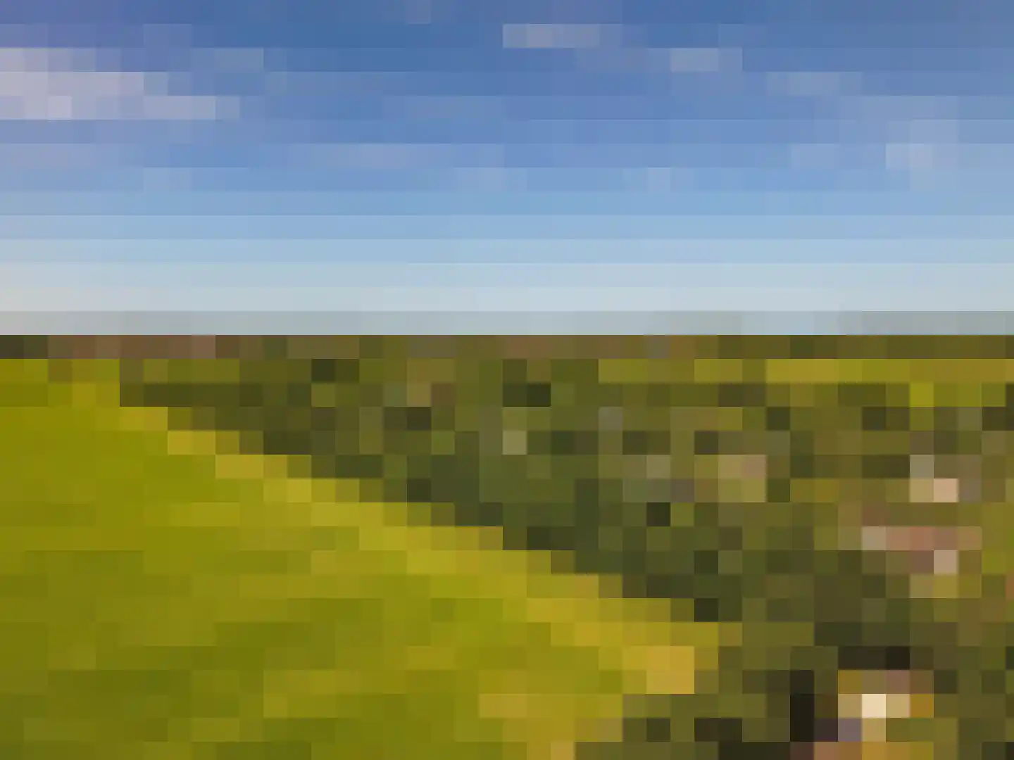 Rijspolder 29 Schiermonnikoog thumbnail 31