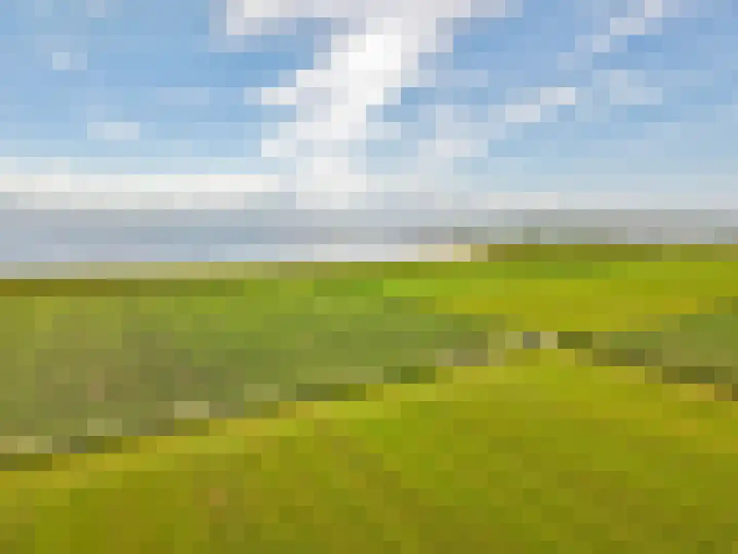 Rijspolder 29 Schiermonnikoog thumbnail 32