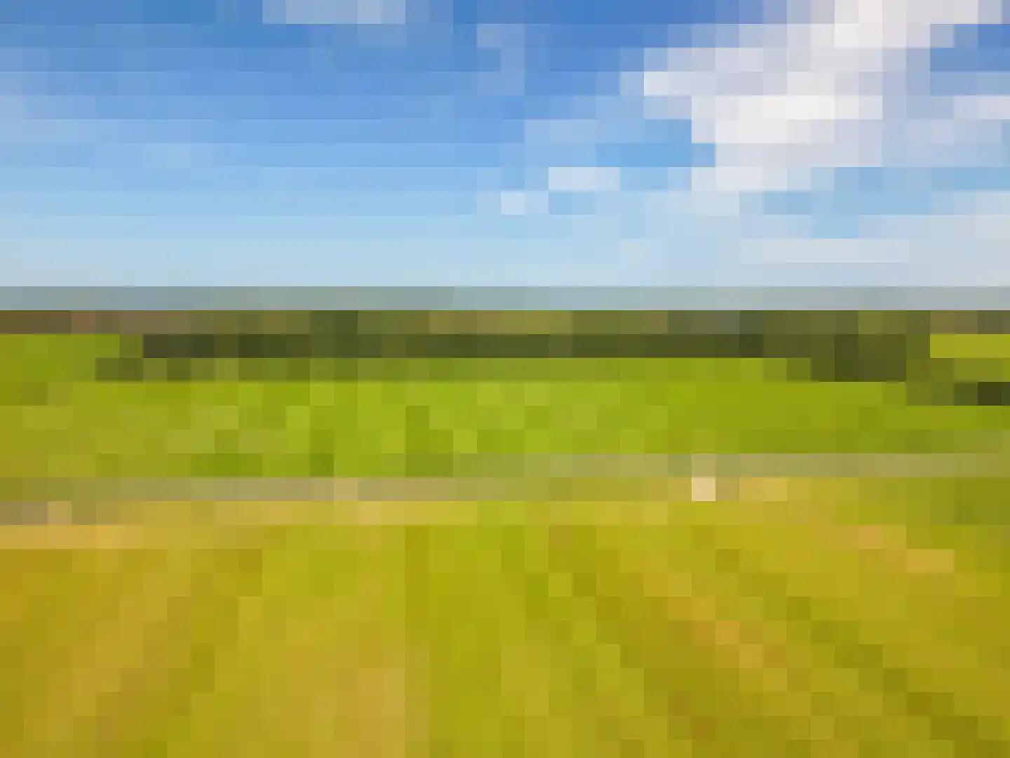 Rijspolder 29 Schiermonnikoog thumbnail 33