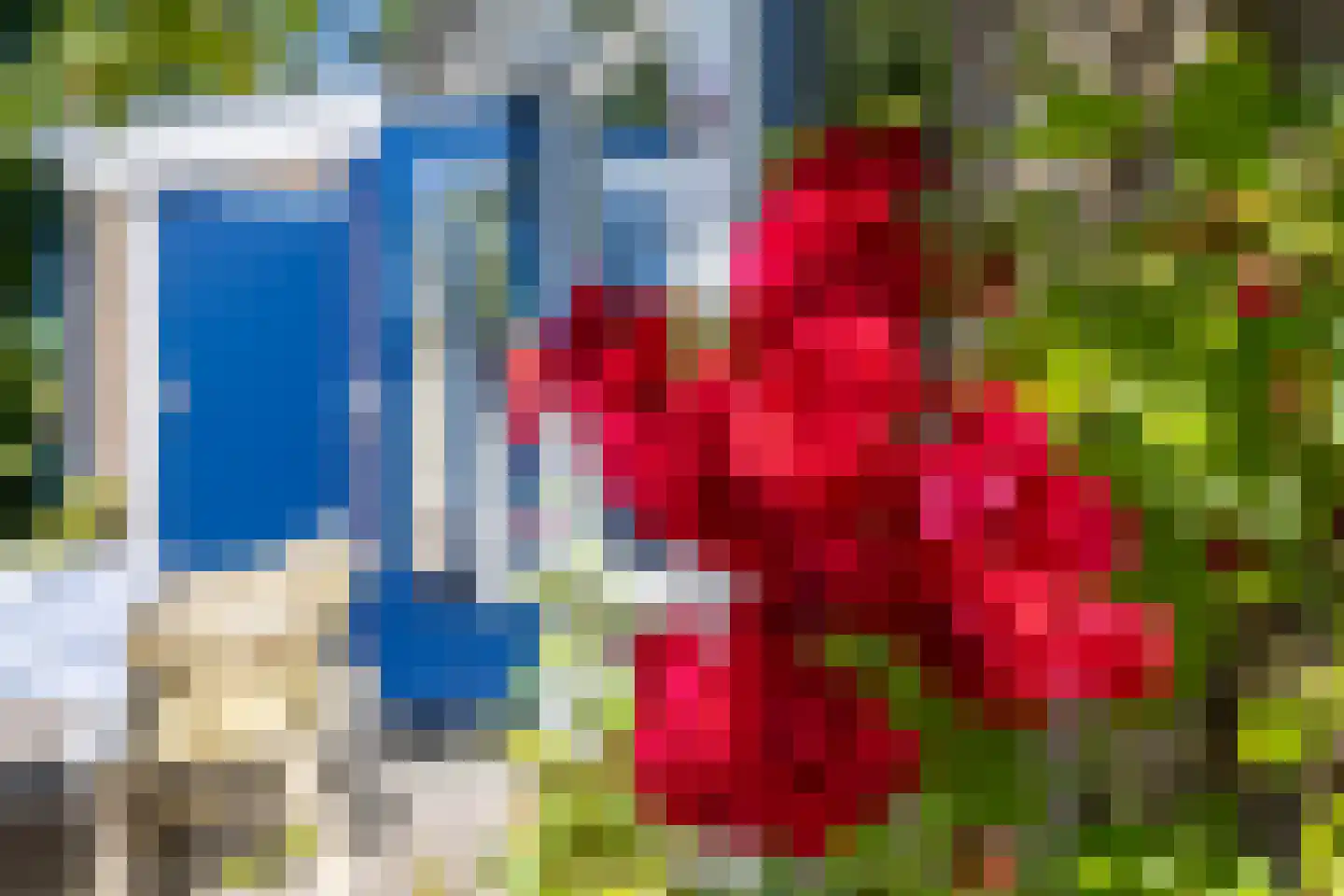 Rijspolder 29 Schiermonnikoog thumbnail 6