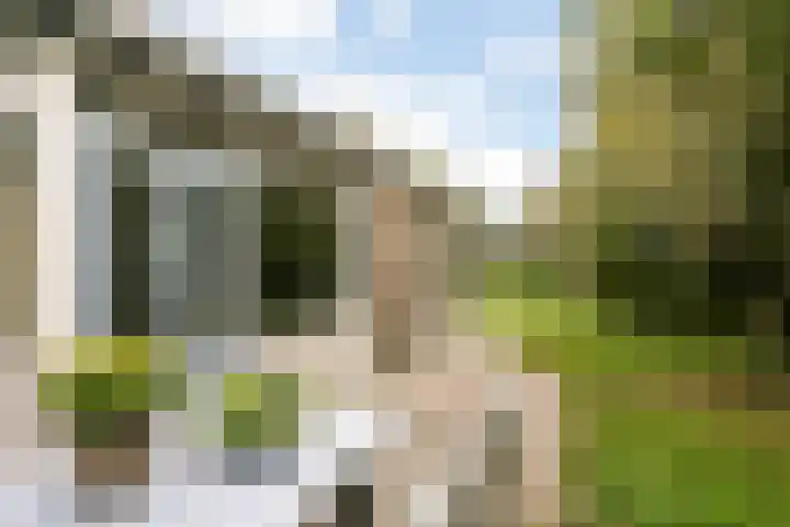 Rijspolder 46 Schiermonnikoog thumbnail 24