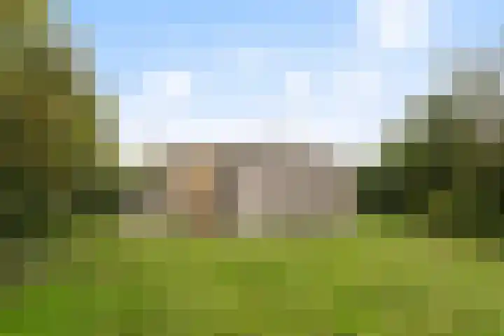Rijspolder 46 Schiermonnikoog thumbnail 25