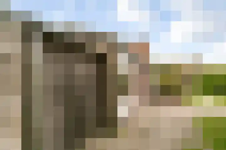 Rijspolder 46 Schiermonnikoog thumbnail 26
