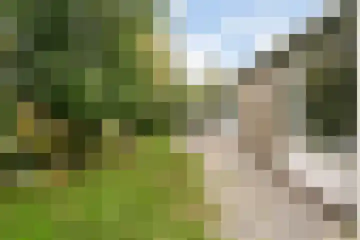 Rijspolder 46 Schiermonnikoog thumbnail 27