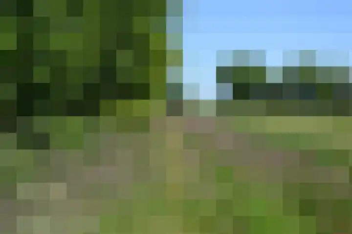 Rijspolder 46 Schiermonnikoog thumbnail 28