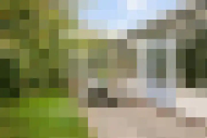 Rijspolder 46 Schiermonnikoog thumbnail 4