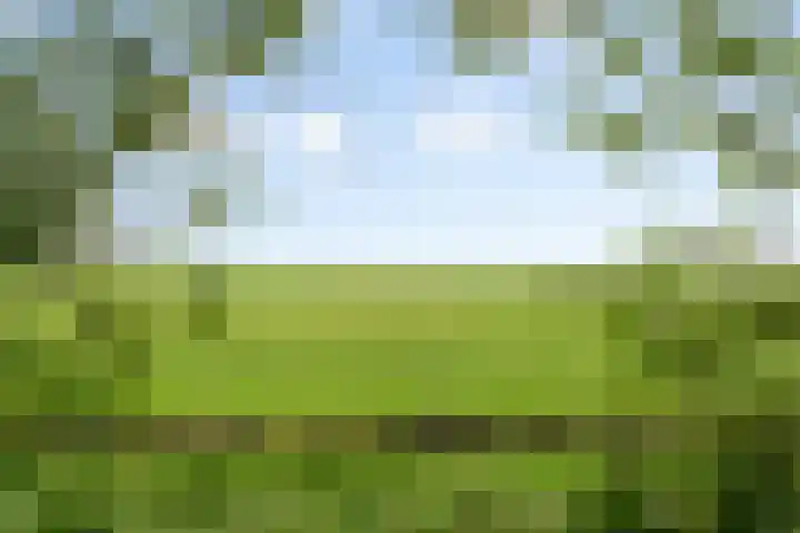 Rijspolder 46 Schiermonnikoog thumbnail 5