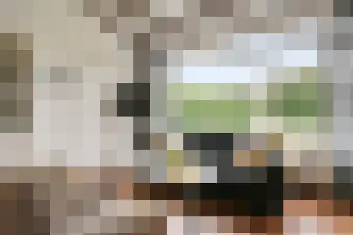Rijspolder 46 Schiermonnikoog thumbnail 7
