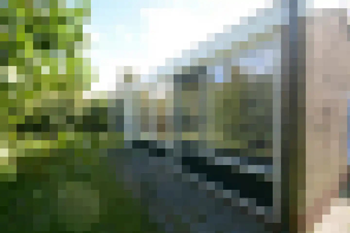 Rijspolder 55 Schiermonnikoog thumbnail 23