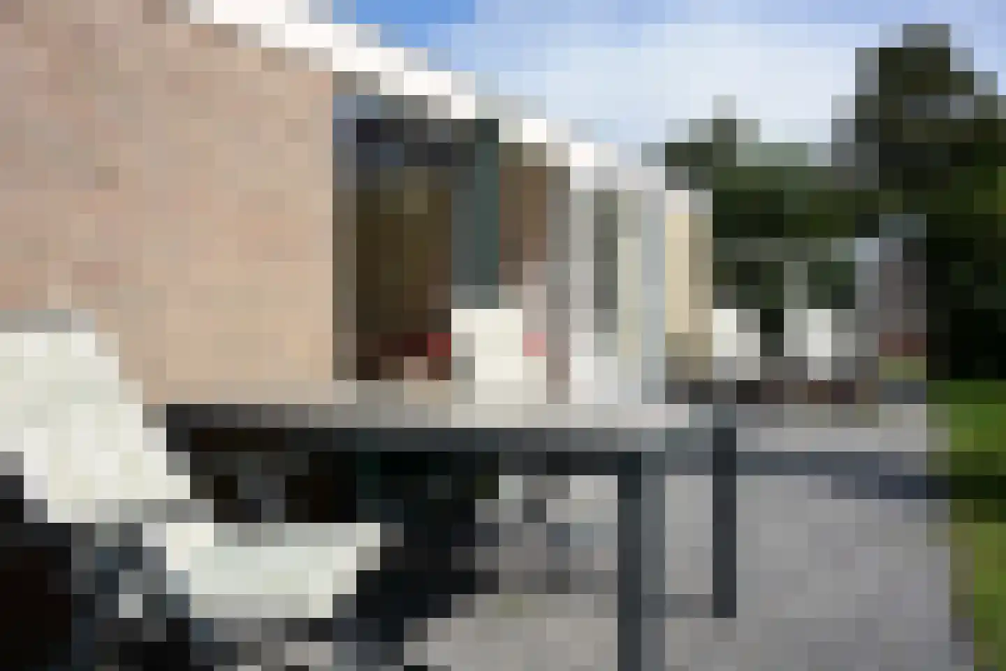 Rijspolder 55 Schiermonnikoog thumbnail 30