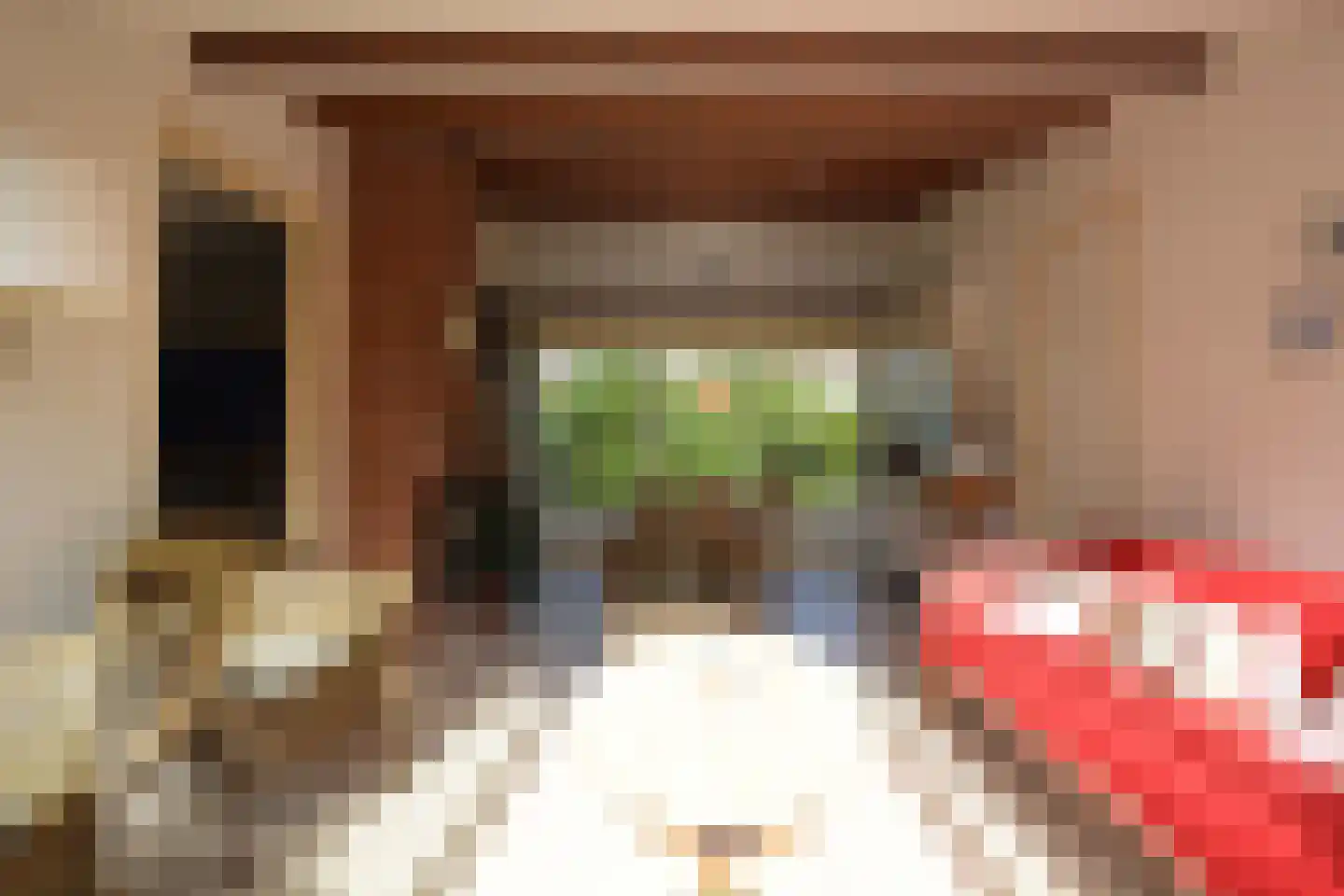 Rijspolder 55 Schiermonnikoog thumbnail 7