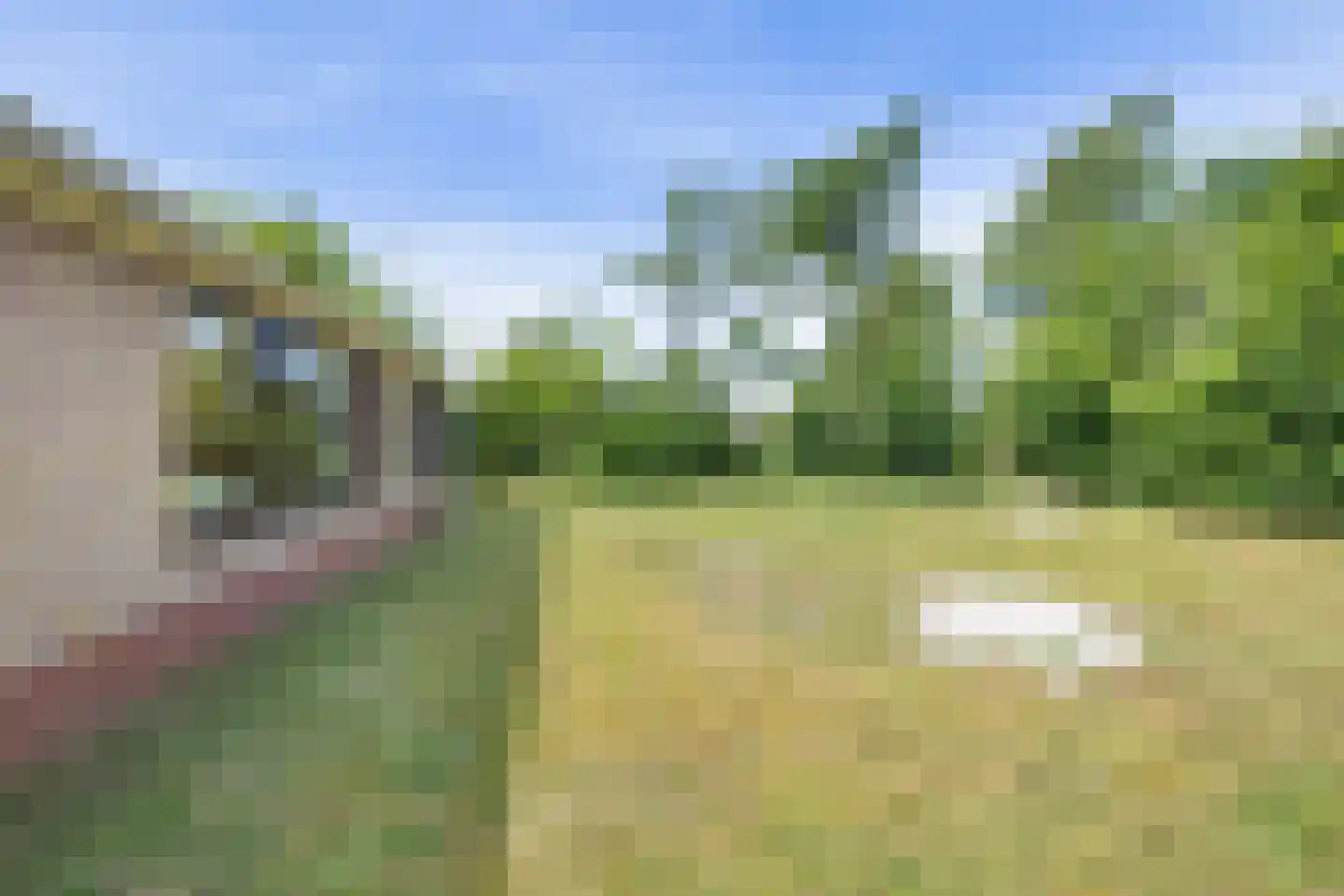 Rijspolder 57 Schiermonnikoog thumbnail 25