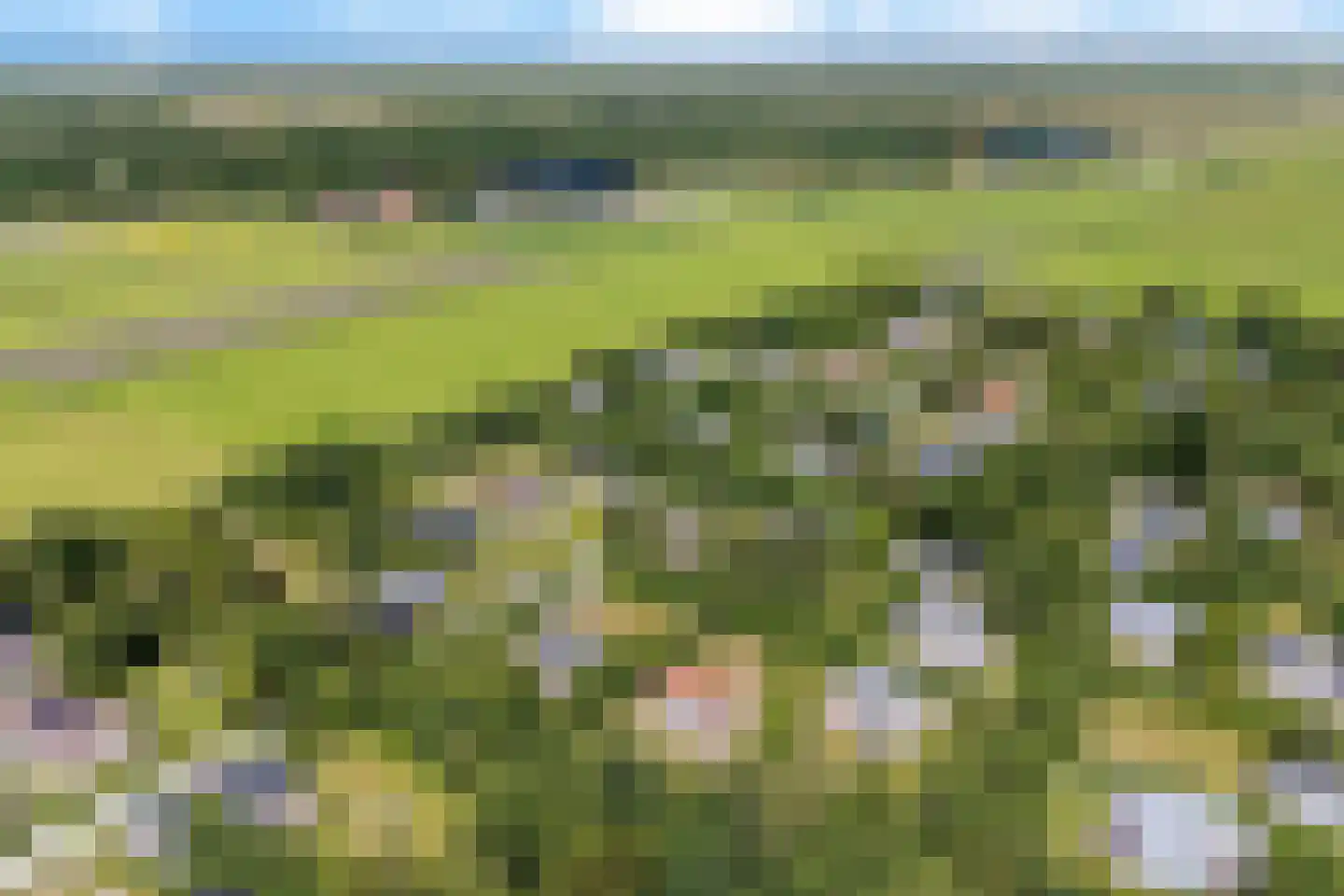 Rijspolder 57 Schiermonnikoog thumbnail 27