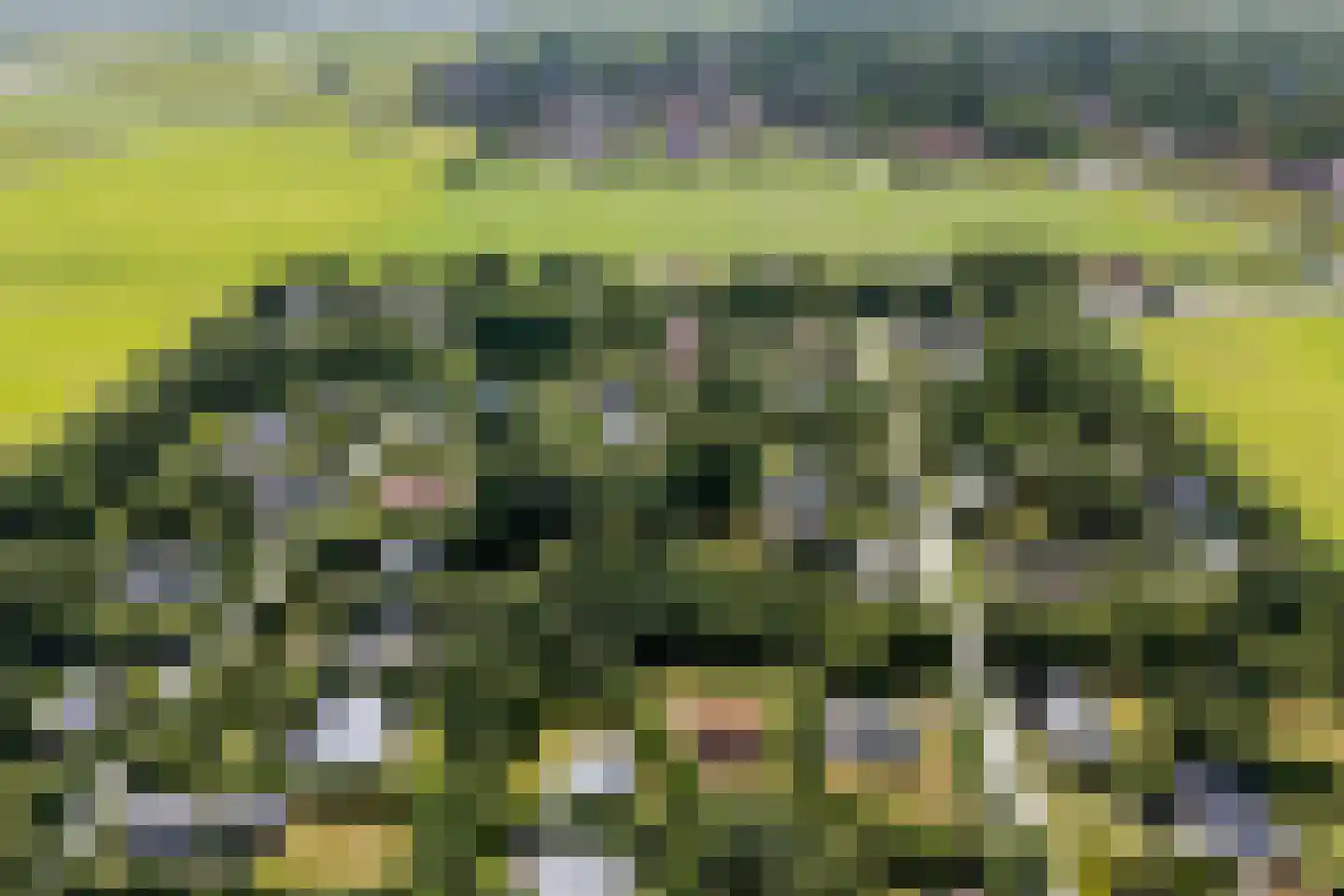 Rijspolder 57 Schiermonnikoog thumbnail 5