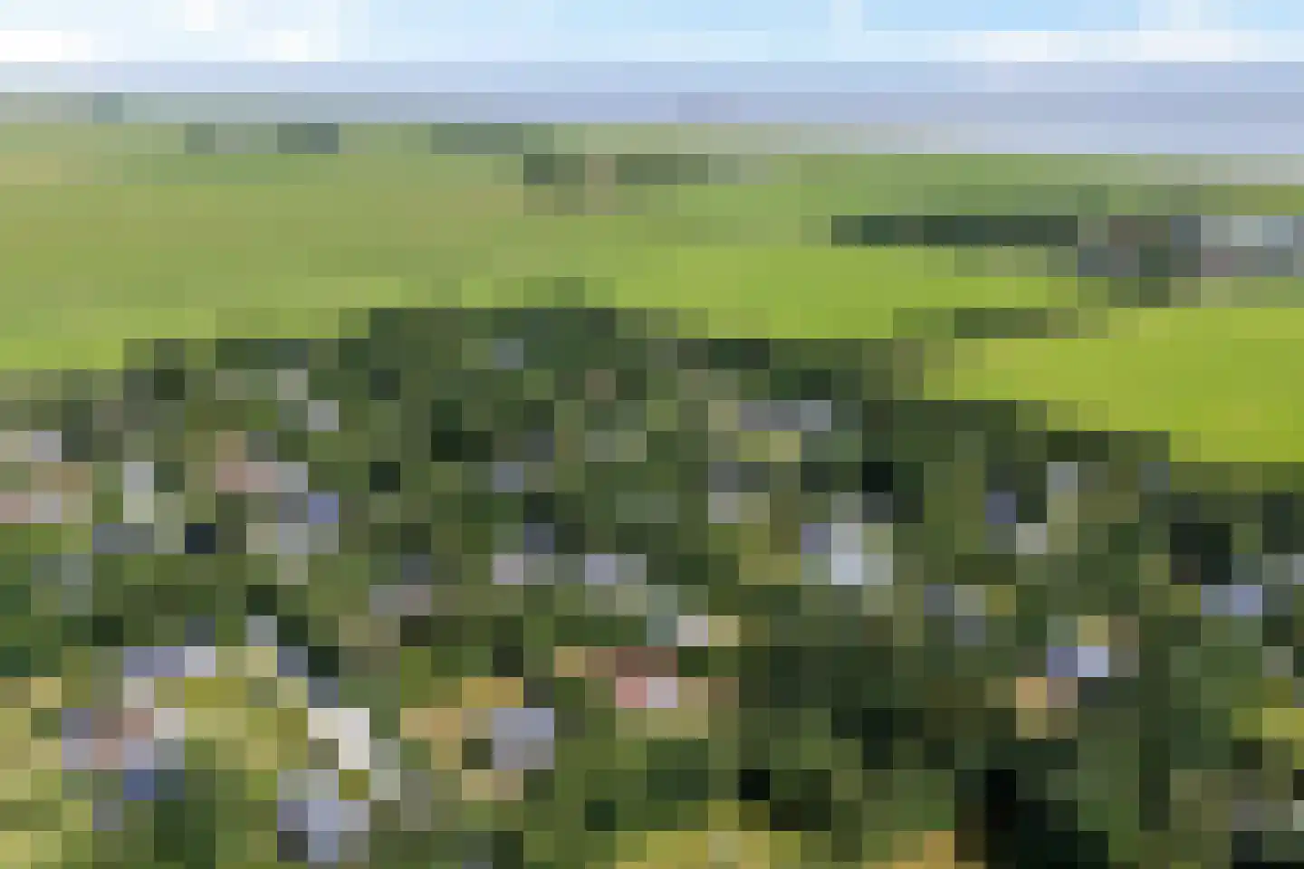 Rijspolder 57 Schiermonnikoog thumbnail 6